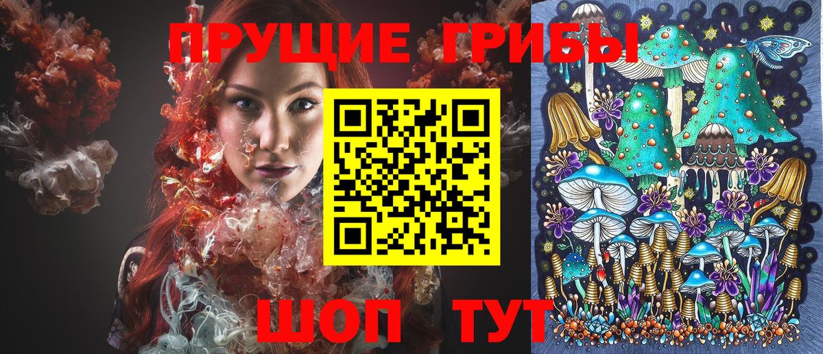 Псилоцибиновые грибы мухоморы  Псилоцибиновые грибы MAGIC MUSHROOMS  цены наркотик  Вход с VPN  Сокол 